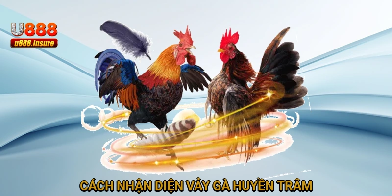 Cách nhận diện Vảy Gà Huyền Trâm