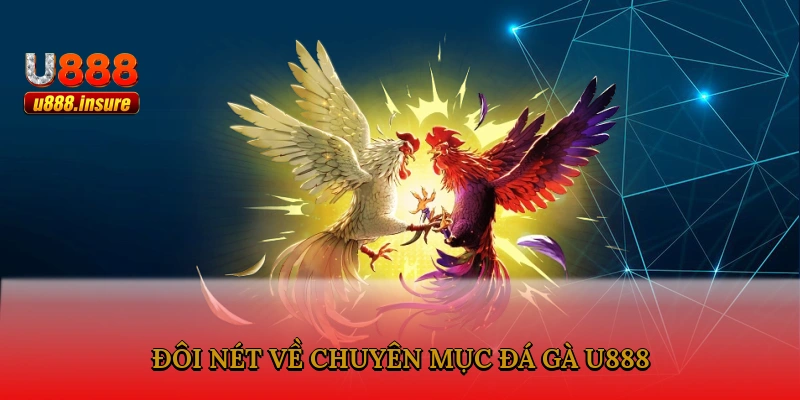 Đôi nét về chuyên mục đá gà U888