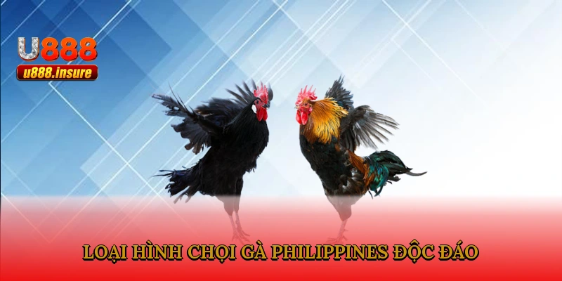 Loại hình chọi gà Philippines độc đáo