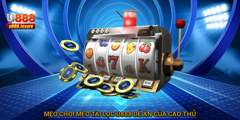 Mẹo chơi Mèo Tài Lộc U888 dễ ăn của cao thủ