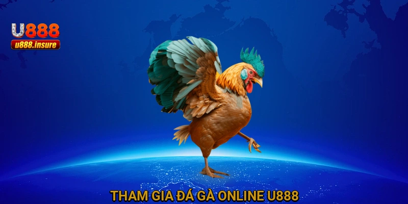 Tham gia Đá gà online U888