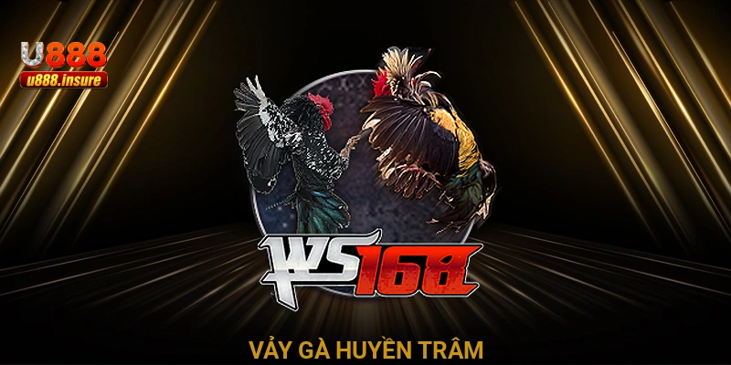 Vảy Gà Huyền Trâm